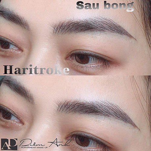 gay soi long may phong thuy tot