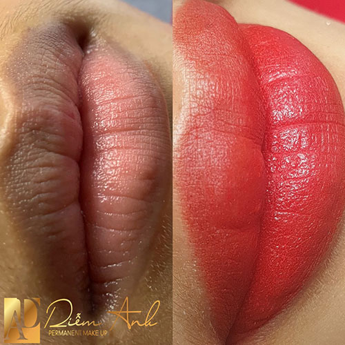nhung ly do khien moi tham